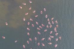 Jezero Milada - 4.12.2023