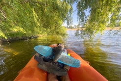 Žernosecké jezero (18. 6. 2023)