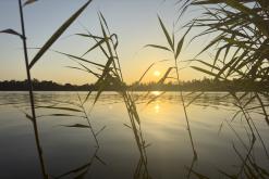 Pískovna Dobříň - 25.6.2024