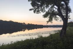 Pískovna Dobříň - 25.6.2024