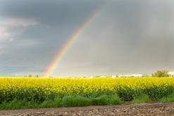 Lovosice (15. 5. 2023)