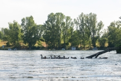 Žernosecké jezero (18. 6. 2023)