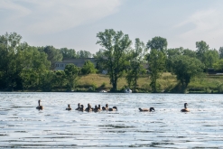 Žernosecké jezero (18. 6. 2023)