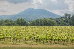 Žernosecké jezero (18. 6. 2023)