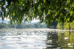 Žernosecké jezero (18. 6. 2023)