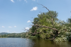 Žernosecké jezero (9. 7. 2023)