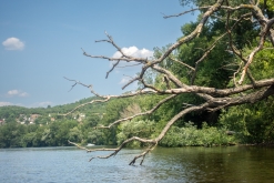 Žernosecké jezero (9. 7. 2023)