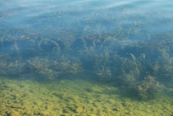 Jezero Milada (16. 8. 2023)