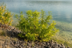 Jezero Milada (23. 8. 2023)