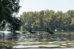 Žernosecké jezero - 10.9.2023