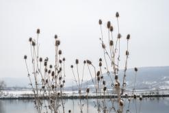 Jezero Milada - 5.12.2023