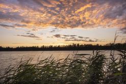 Pískovna Dobříň - 16.7.2024