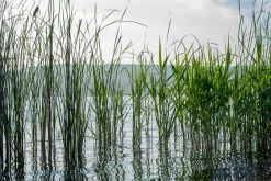 Jezero Most (14. 6. 2023)