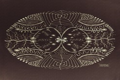 Pavučina v trní / centropenem, úpravy v PC, formát: A4