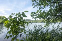 Žernosecké jezero - květen 2022