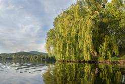 Žernosecké jezero - květen 2022