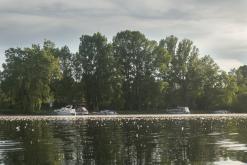 Žernosecké jezero - květen 2022