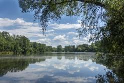 Žernosecké jezero - červen 2022