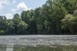 Žernosecké jezero - červen 2022