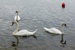 Jezero Milada - červenec 2022