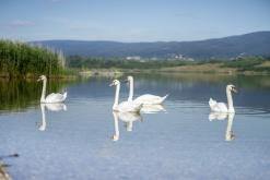 Jezero Milada - červenec 2022