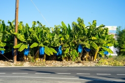 Pafos - Prodloužený víkend po Kypru (listopad 2023)