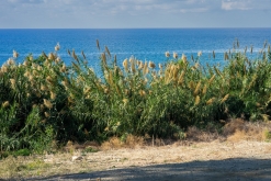 Pafos - Prodloužený víkend po Kypru (listopad 2023)