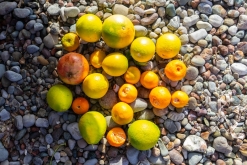 Akamas NP - Prodloužený víkend po Kypru (listopad 2023)