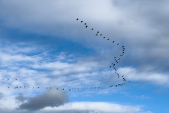 Akamas NP - Prodloužený víkend po Kypru (listopad 2023)