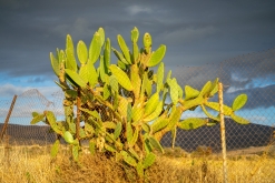 Akamas NP - Prodloužený víkend po Kypru (listopad 2023)