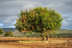 Akamas NP - Prodloužený víkend po Kypru (listopad 2023)