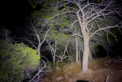 Akamas NP - Prodloužený víkend po Kypru (listopad 2023)