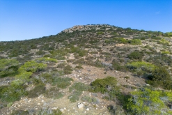 Akamas NP - Prodloužený víkend po Kypru (listopad 2023)