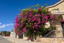 Akamas NP - Prodloužený víkend po Kypru (listopad 2023)