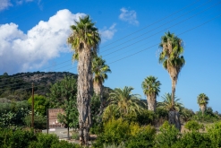 Akamas NP - Prodloužený víkend po Kypru (listopad 2023)