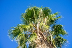 Akamas NP - Prodloužený víkend po Kypru (listopad 2023)