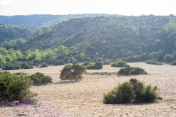 Akamas NP - Prodloužený víkend po Kypru (listopad 2023)