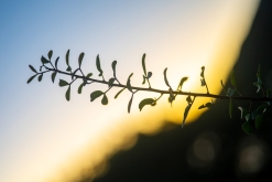 Akamas NP - Prodloužený víkend po Kypru (listopad 2023)