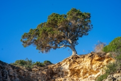 Akamas NP - Prodloužený víkend po Kypru (listopad 2023)