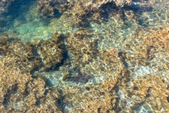 Akamas NP - Prodloužený víkend po Kypru (listopad 2023)