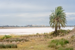 Larnaka - Prodloužený víkend po Kypru (listopad 2023)