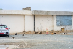 Larnaka - Prodloužený víkend po Kypru (listopad 2023)