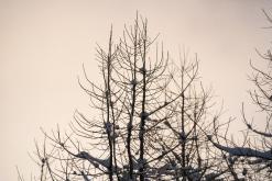 Akureyri - Prodloužený víkend po Islandu (únor 2024)