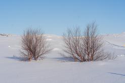 Mývatn - Prodloužený víkend po Islandu (únor 2024)