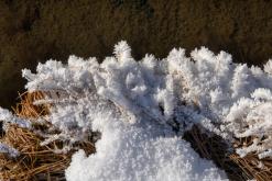 Mývatn - Prodloužený víkend po Islandu (únor 2024)