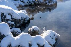 Mývatn - Prodloužený víkend po Islandu (únor 2024)