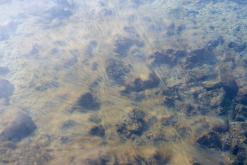 Mývatn - Prodloužený víkend po Islandu (únor 2024)