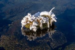 Mývatn - Prodloužený víkend po Islandu (únor 2024)