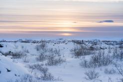 Mývatn - Prodloužený víkend po Islandu (únor 2024)