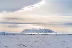 Mývatn - Prodloužený víkend po Islandu (únor 2024)